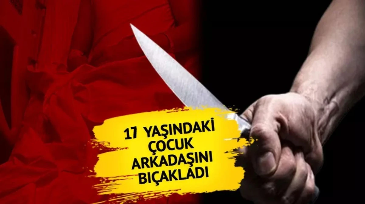 17 Yaşındaki &Ccedil;ocuk 13 Yaşındaki &Ccedil;ocuğu Bı&ccedil;akladı
