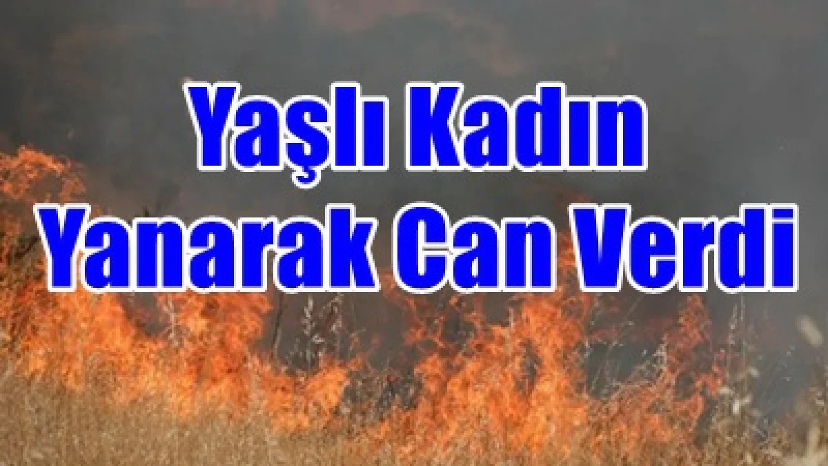 Alevlerin arasında kalan yaşlı kadın yanarak can verdi