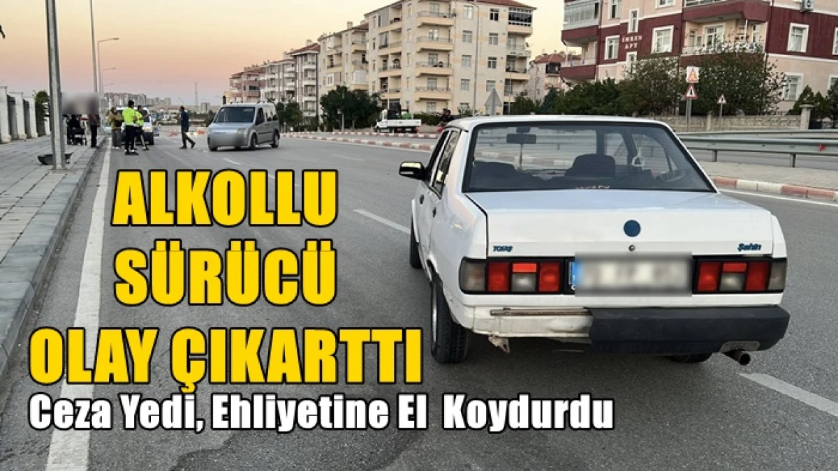 Alkoll&uuml; s&uuml;r&uuml;c&uuml; ortalığı karıştırdı
