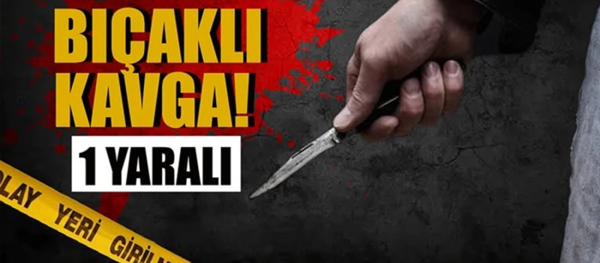 Amca&ndash;Yeğen Kavgası Kanlı Bitti 1 Yaralı