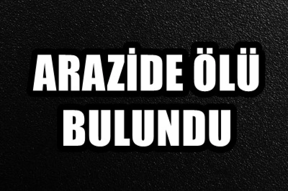 Arazide ölü bulundu