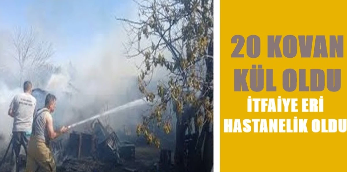Arılar İ&ccedil;in Yakılan Ateş Kovanları K&uuml;le &Ccedil;evirdi