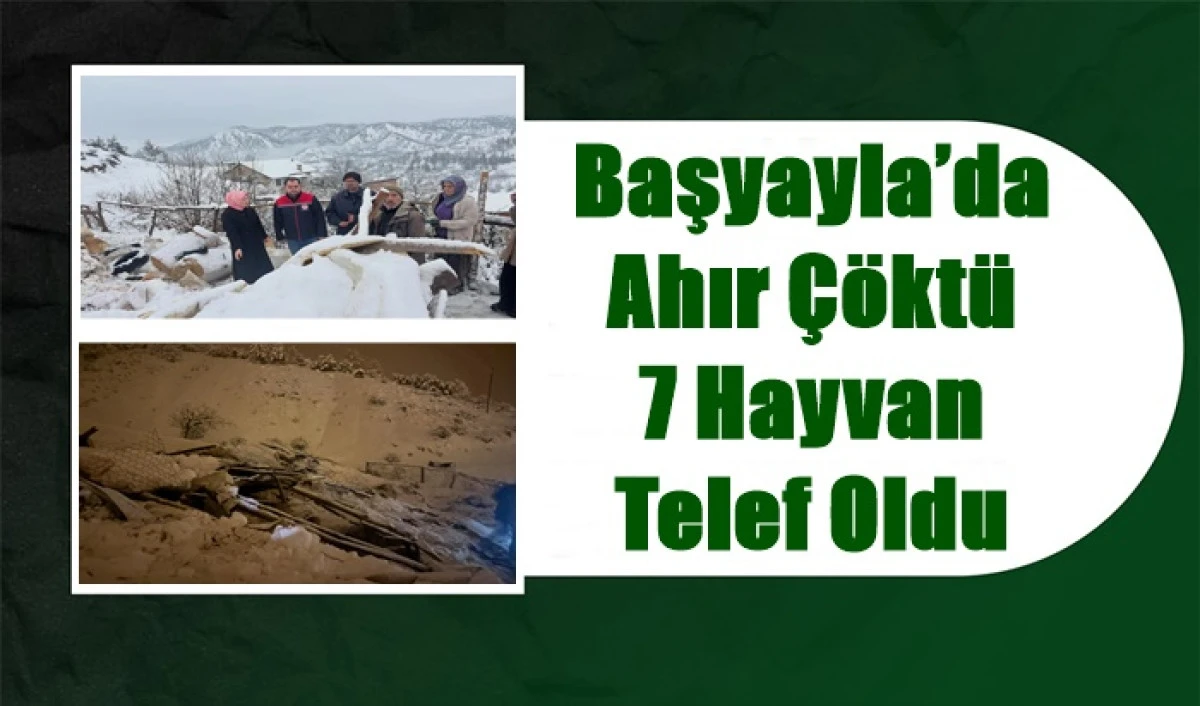 Başyayla&rsquo;da kar ahırı &ccedil;&ouml;kertti: 7 hayvan telef oldu