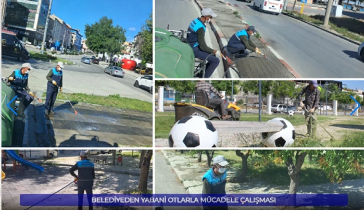 BELEDİYEDEN YABANİ OTLARLA M&Uuml;CADELE &Ccedil;ALIŞMASI
