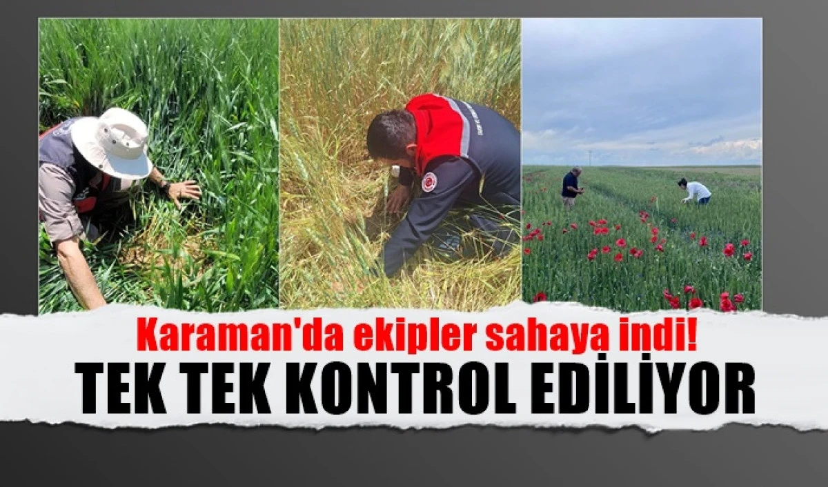 Ekipler Saha'ya İndi!