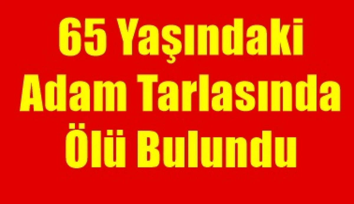 Ermenek&rsquo;te 65 Yaşındaki Adam Tarlasında &Ouml;l&uuml; Bulundu