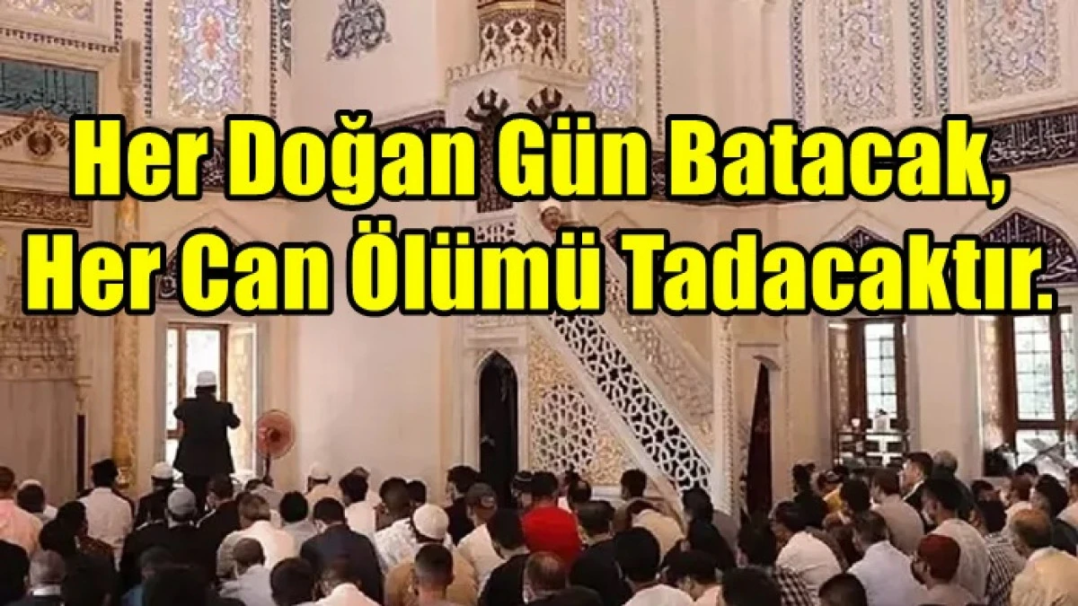 Her şey akar, su, tarih, yıldız, insan ve fikir