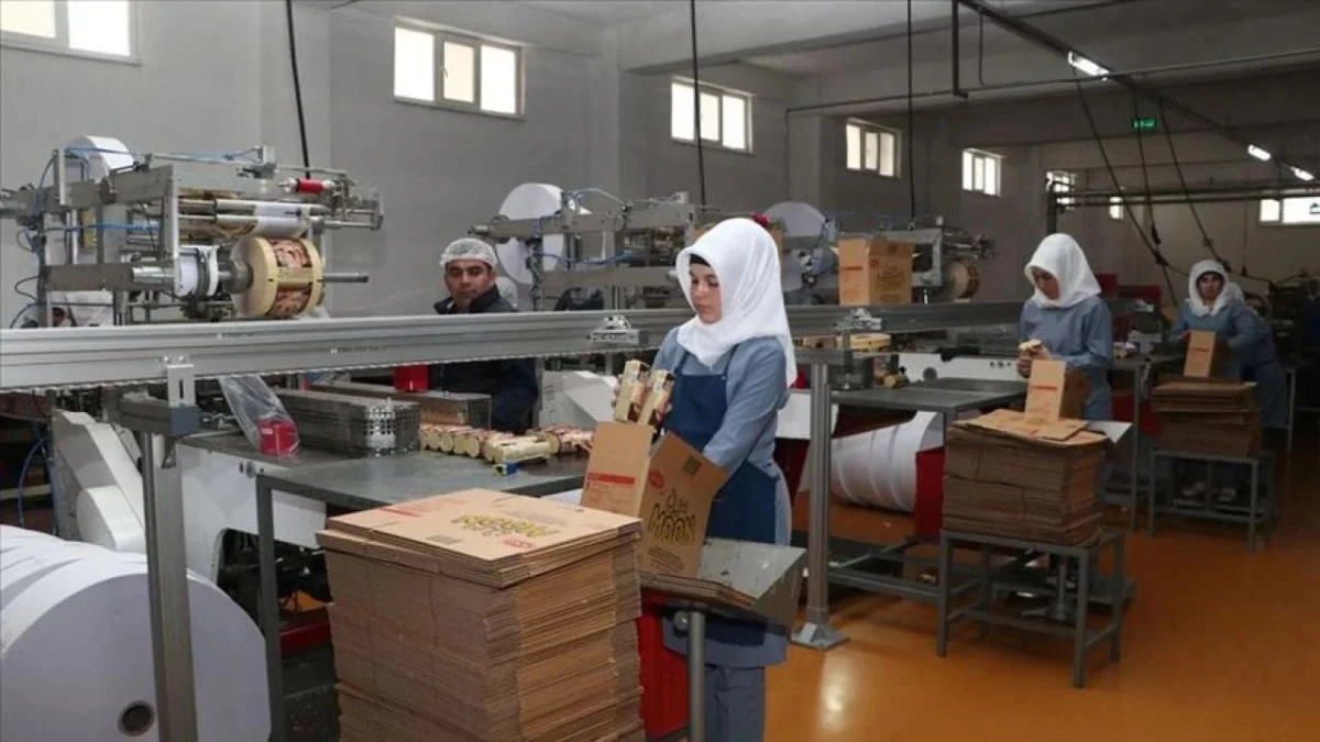 İhracat eğitim programı başlıyor