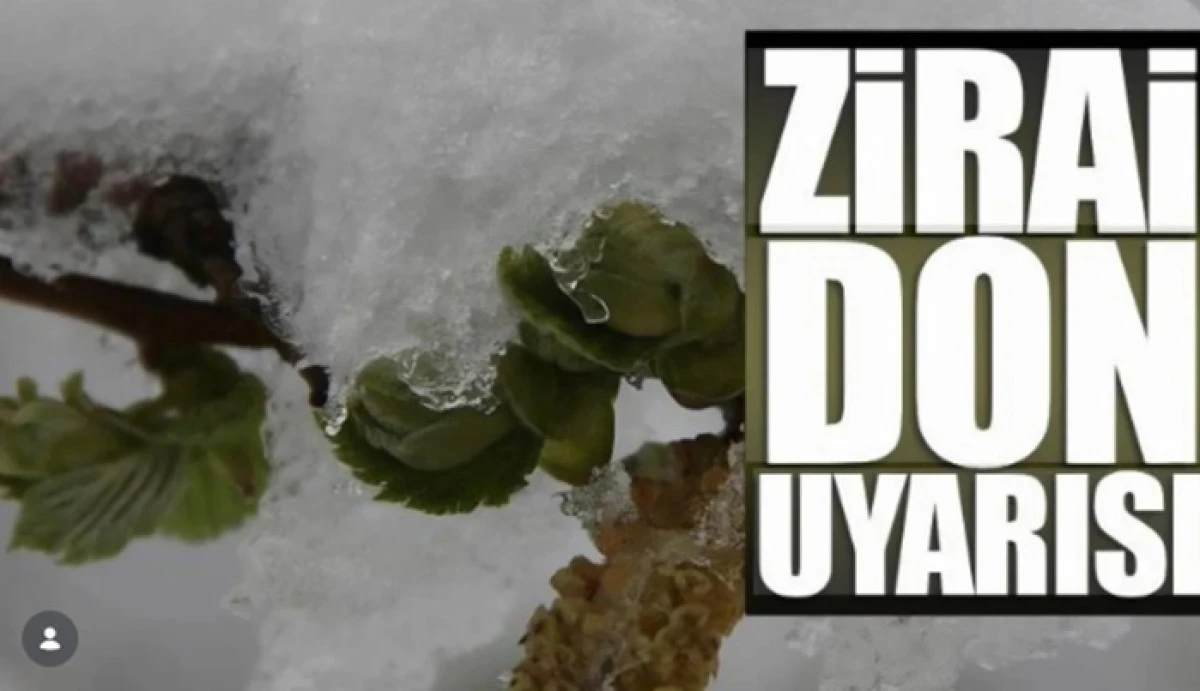 İl Tarım M&uuml;d&uuml;rl&uuml;ğ&uuml; uyardı: Gece don geliyor!