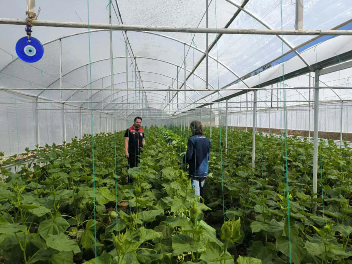 Karaman’da arıcılık ve sera denetimleri sürüyor