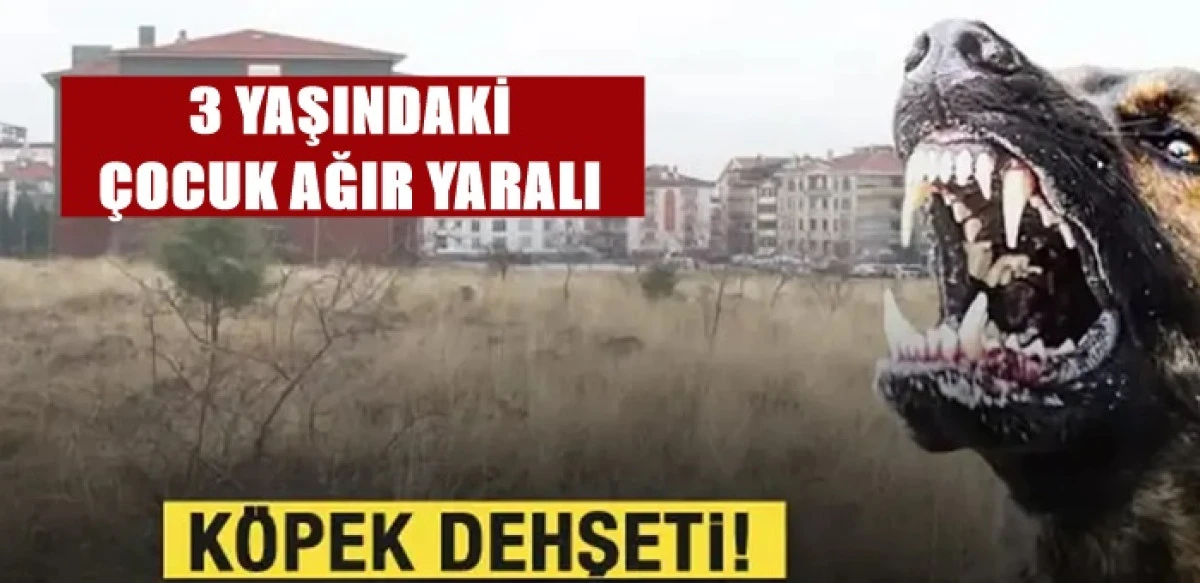 Karaman&rsquo;da dehşet! 3 yaşındaki &ccedil;ocuk ağır yaralı