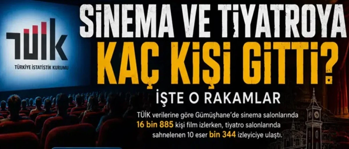 Karaman&rsquo;da ka&ccedil; kişi sinema ve tiyatroya gitti?