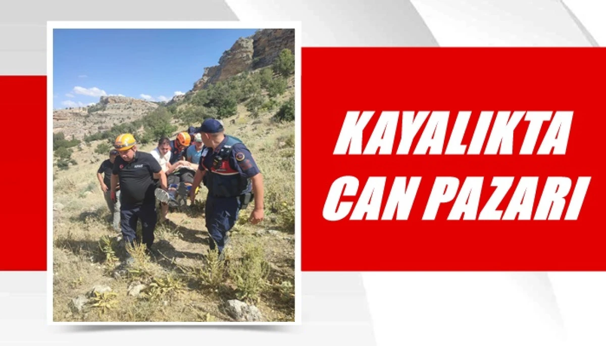 Karaman&rsquo;da kayalıklarda can pazarı