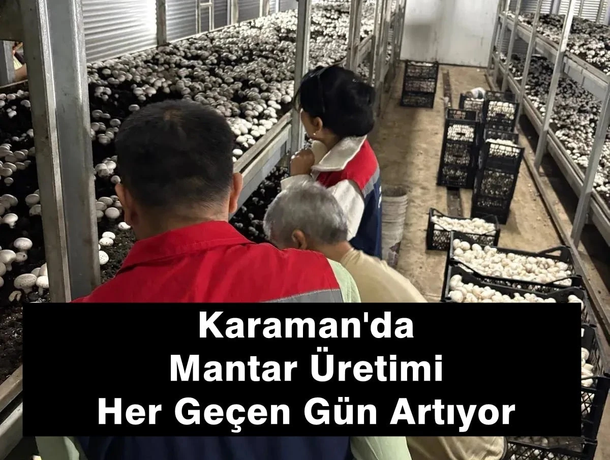 Karamanda Mantar Üretimi Artıyor 