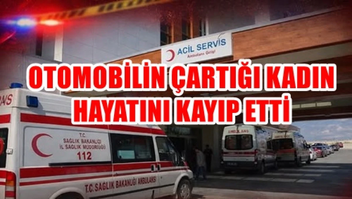 Karaman&rsquo;da ot toplamaya giden yaşlı kadına otomobil &ccedil;arptı: 