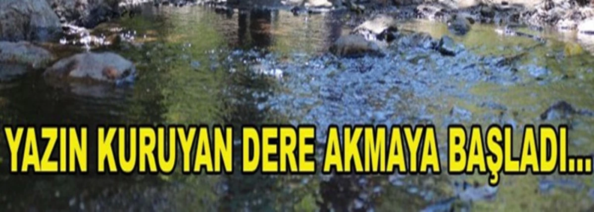 Karaman'da sevindiren görüntü