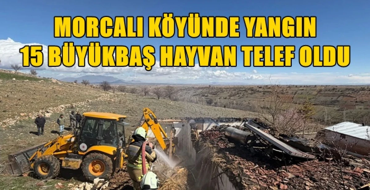 Karaman'da Yangın 15 Hayvan telef oldu