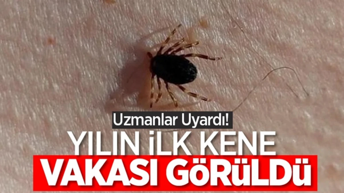Karaman'da Yılın İlk Vakası G&ouml;r&uuml;ld&uuml;.