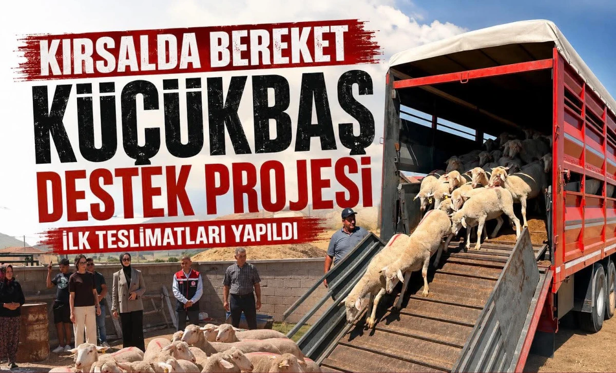 Kırsalda Bereket K&uuml;&ccedil;&uuml;kbaş Destek Projesinin İlk Teslimatları Yapıldı