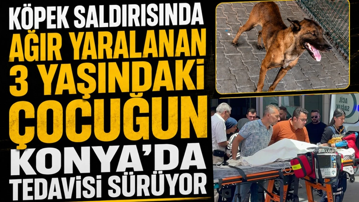 K&ouml;pek saldırısında ağır yaralanan 3 yaşındaki &ccedil;ocuğun Konya'da tedavisi s&uuml;r&uuml;yor