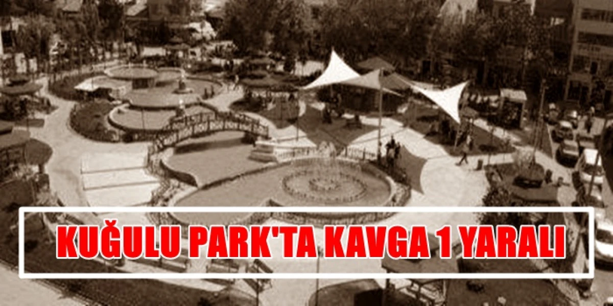 Kuğulu Park'ta kavga 1 yaralı