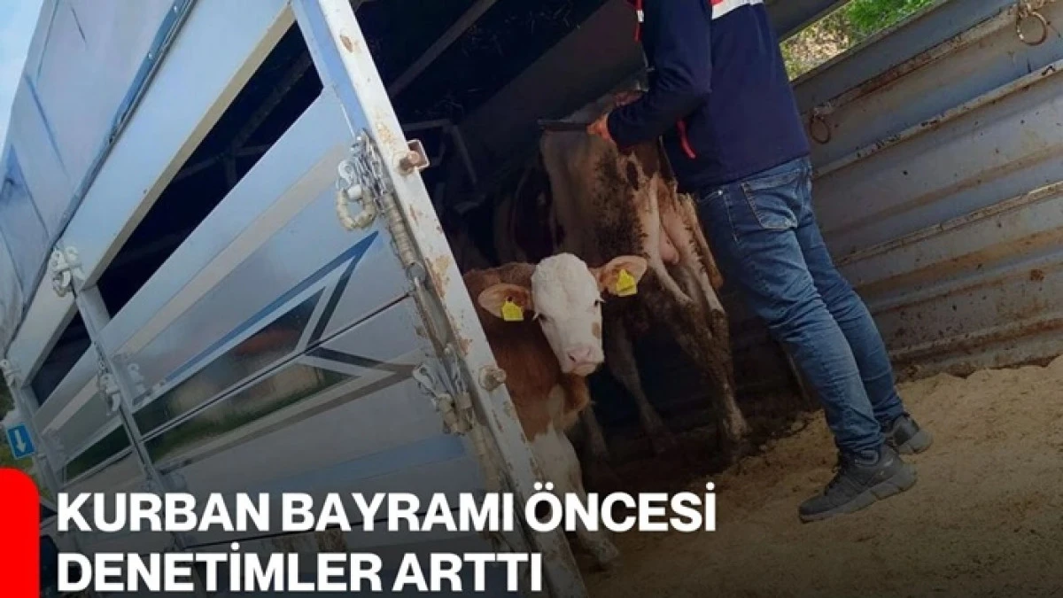 Kurban Bayramı &ouml;ncesi kurbanlık hayvan denetimleri artırıldı