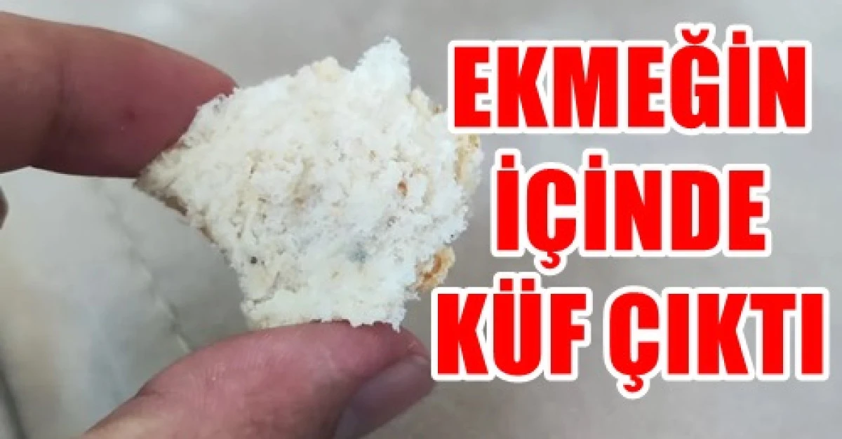Marketten Alınan Ekmekten K&uuml;f &Ccedil;ıktı !