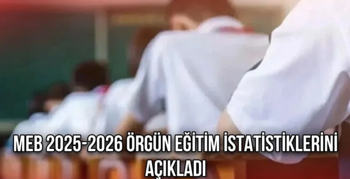 MEB eğitim istatistiklerini a&ccedil;ıkladı