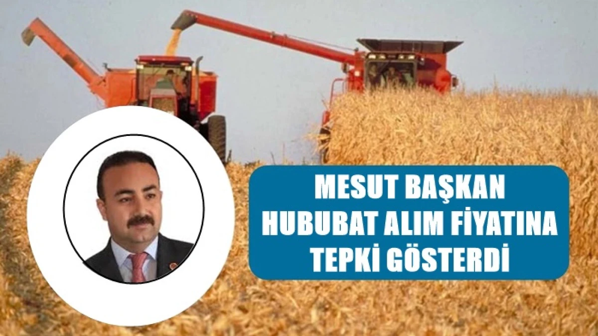 Mesut Soyfidan'dan hububat alım fiyatlarına tepki