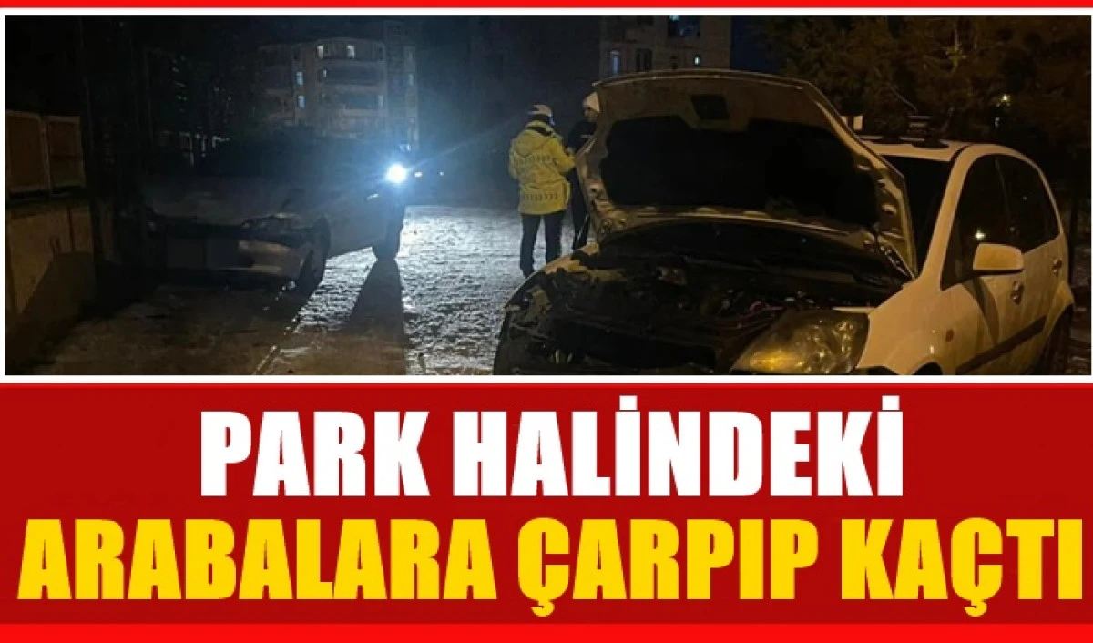 Park Halindeki Arabalara Ka&ccedil;ıp Ka&ccedil;tılar 