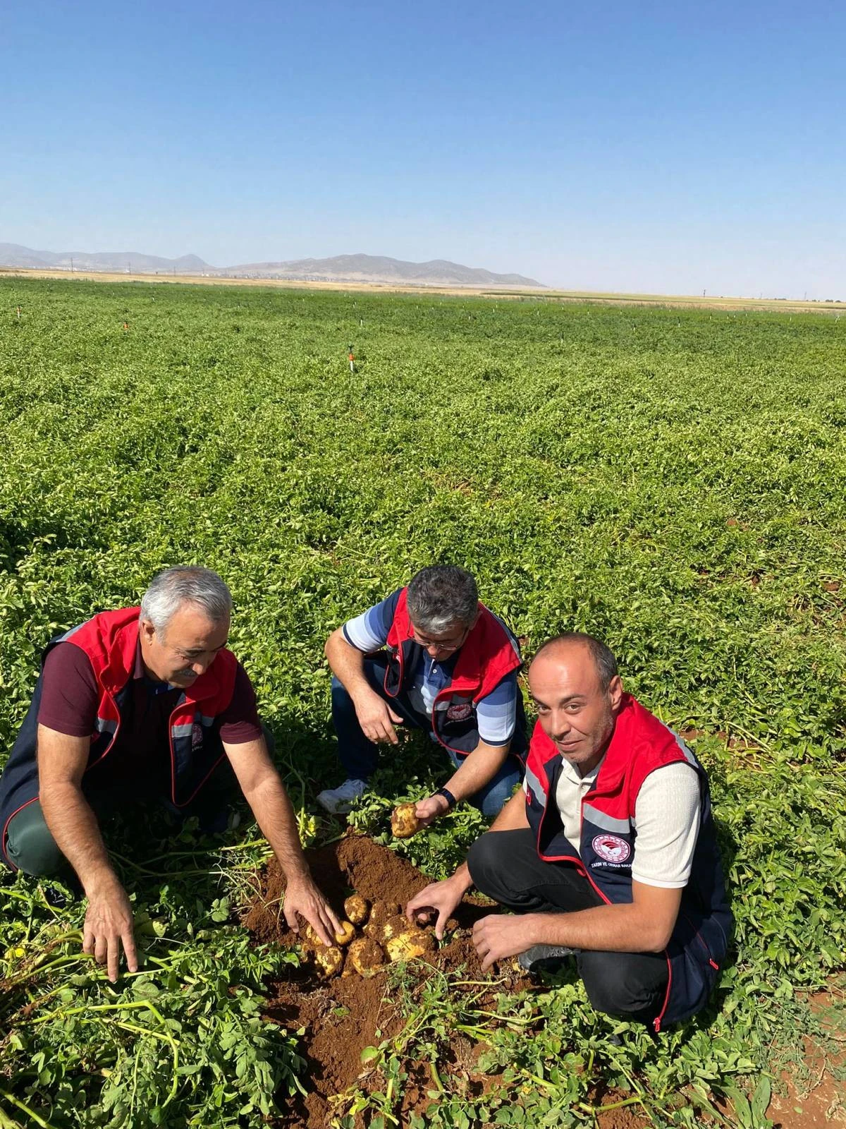 Patates standartlara uygunluk denetimi gerçekleştirildi.