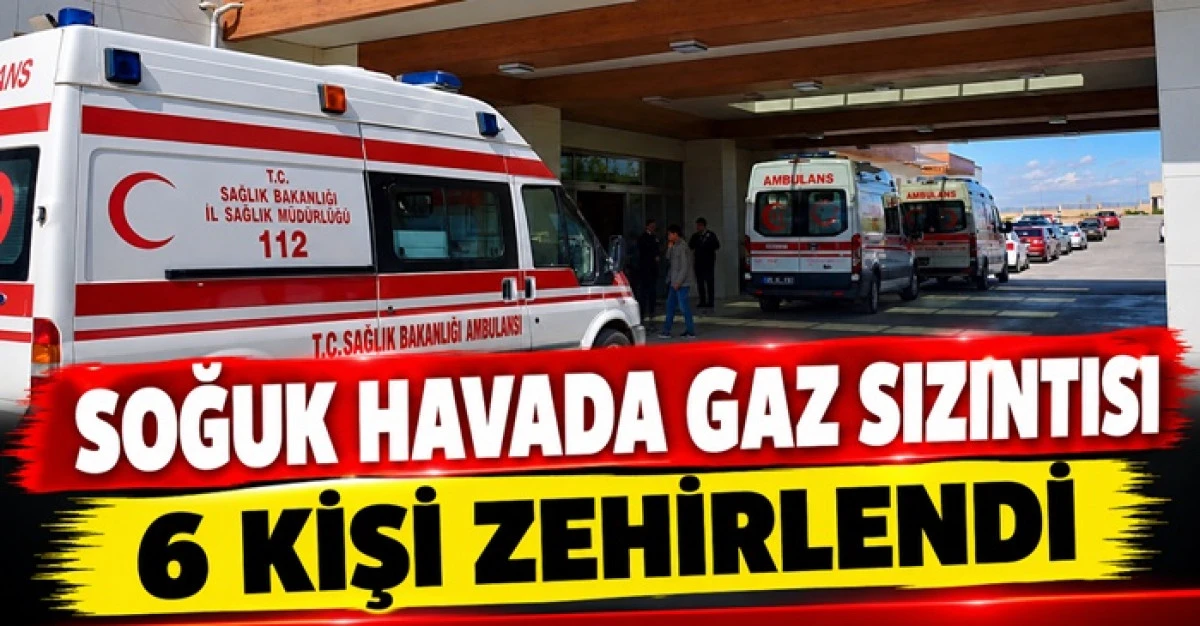 SOĞUK HAVA DA GAZ SIZINTISI 6 KİŞİ ZEHİRLENDİ