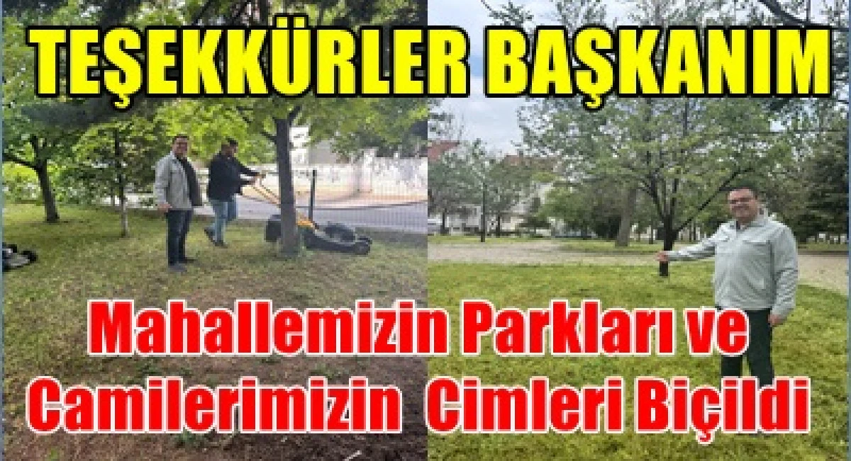 Tabduk Emre Mahallesi Parkları ve Cami Avluların Cimleri Bi&ccedil;ildi.