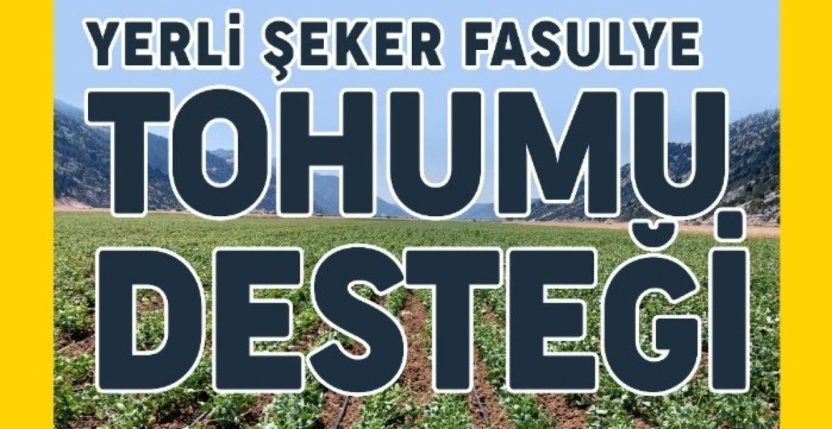 Tarlası Olanlar dikkat! Başvurular başladı