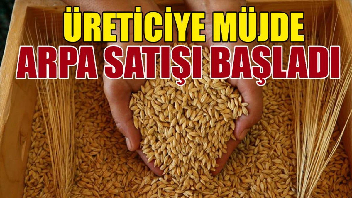 TMO Karaman'da arpa satışına başladı