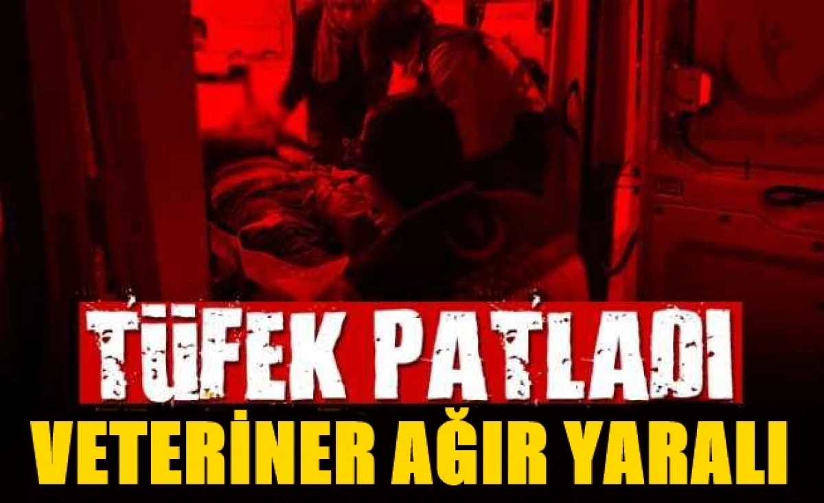 T&uuml;fek patladı! Veteriner ağır yaralandı