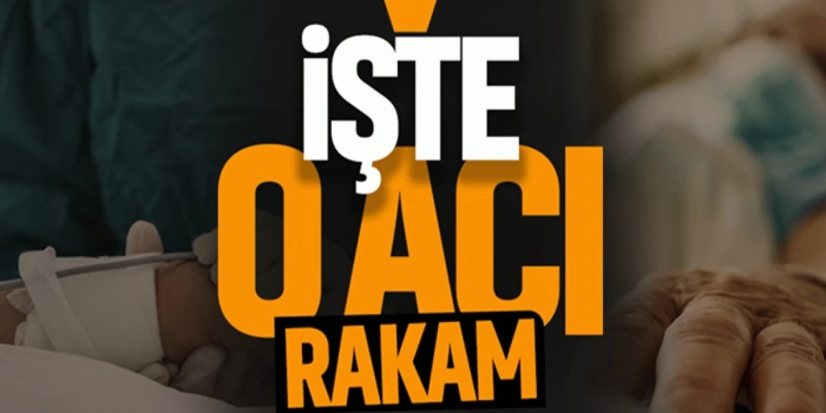 T&Uuml;İK a&ccedil;ıkladı: Karaman'da Bir Yılda Ka&ccedil; Kişi Hayatını Kaybetti?