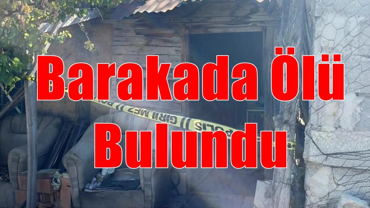 Yaşlı adam barakada ölü bulundu
